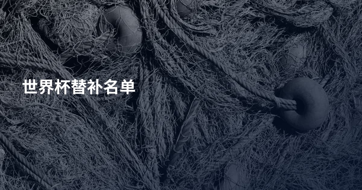 世界杯替补名单