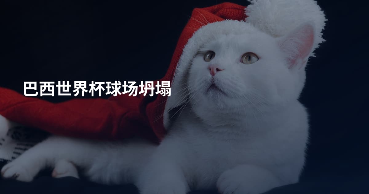 巴西世界杯球场坍塌