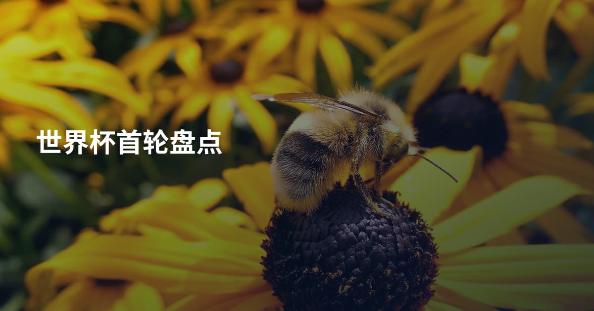 世界杯首轮盘点
