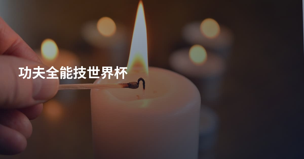 功夫全能技世界杯