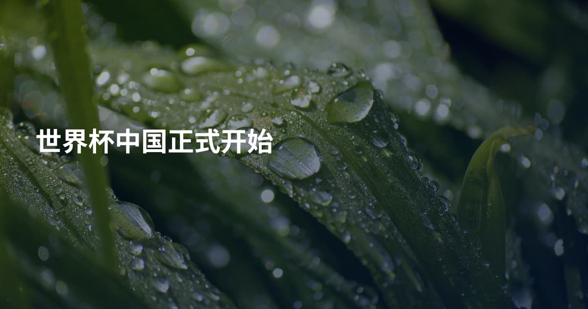 世界杯中国正式开始
