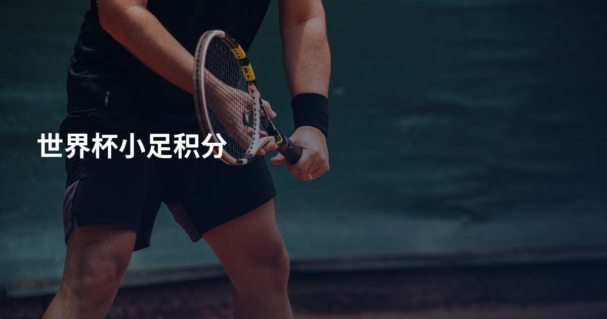 世界杯小足积分