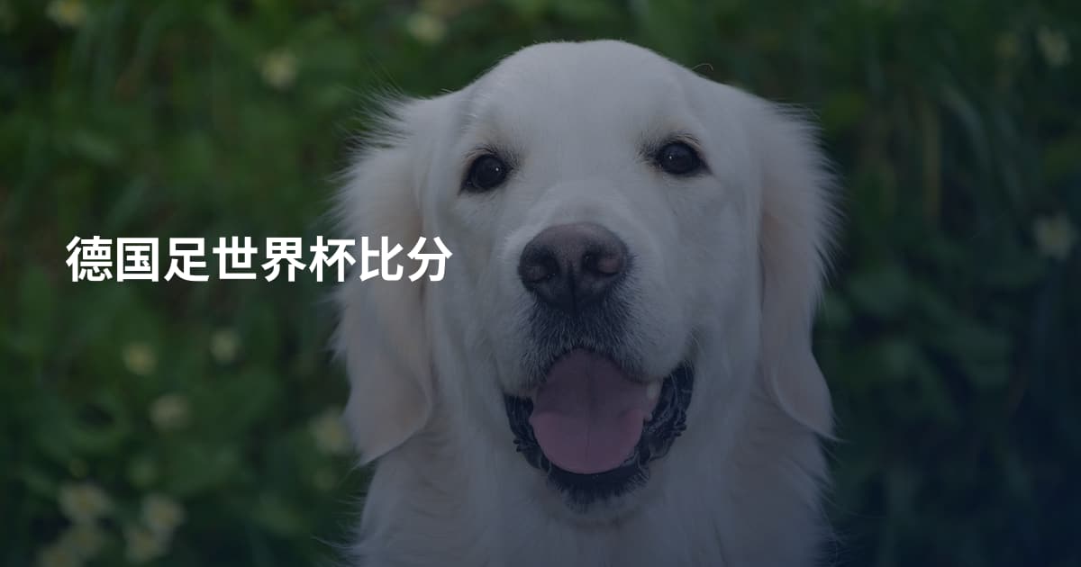 德国足世界杯比分