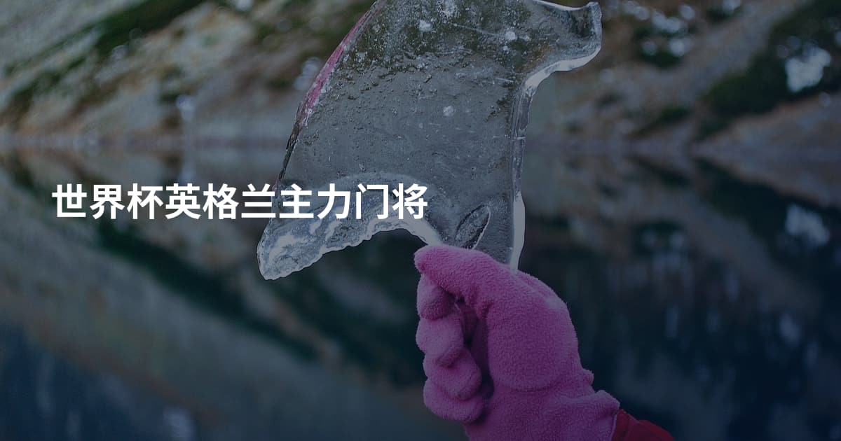 世界杯英格兰主力门将