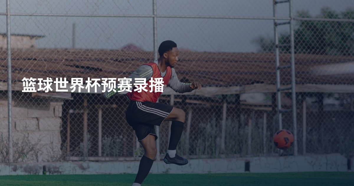 篮球世界杯预赛录播