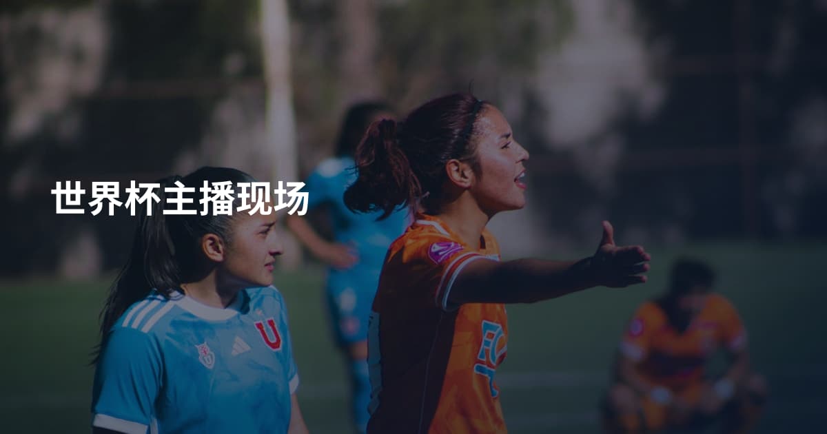 世界杯主播现场