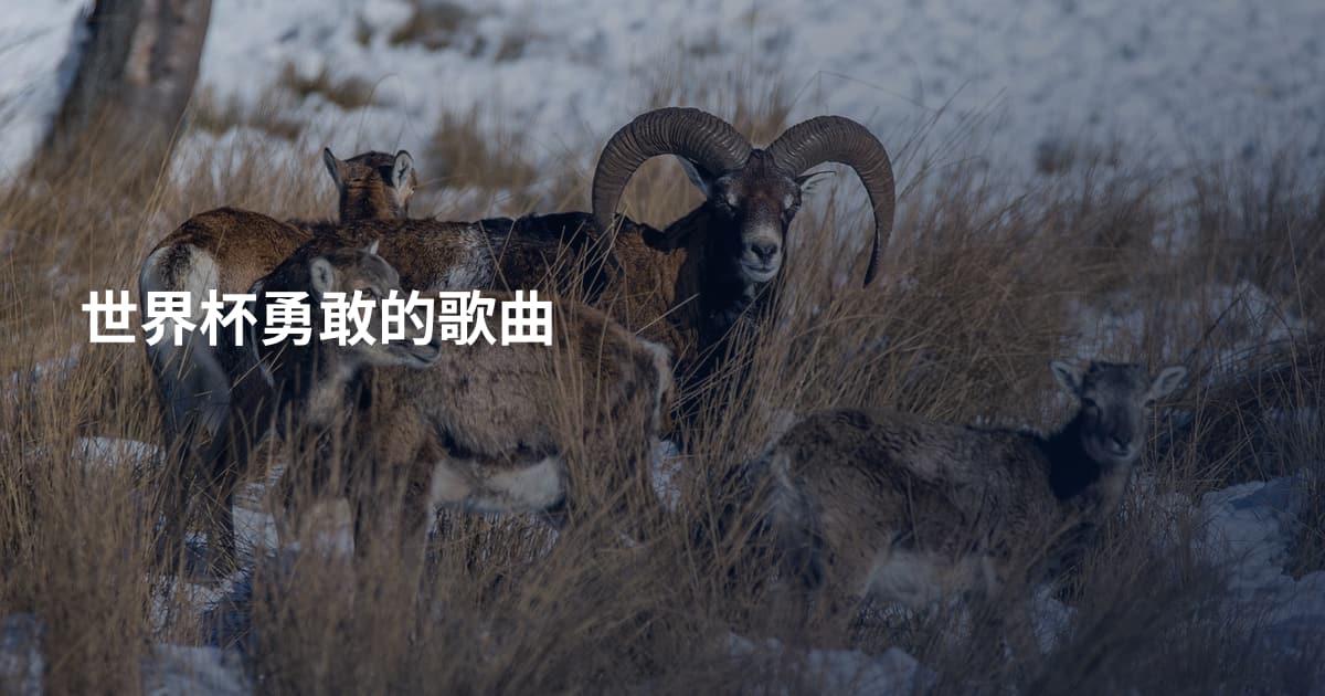 世界杯勇敢的歌曲