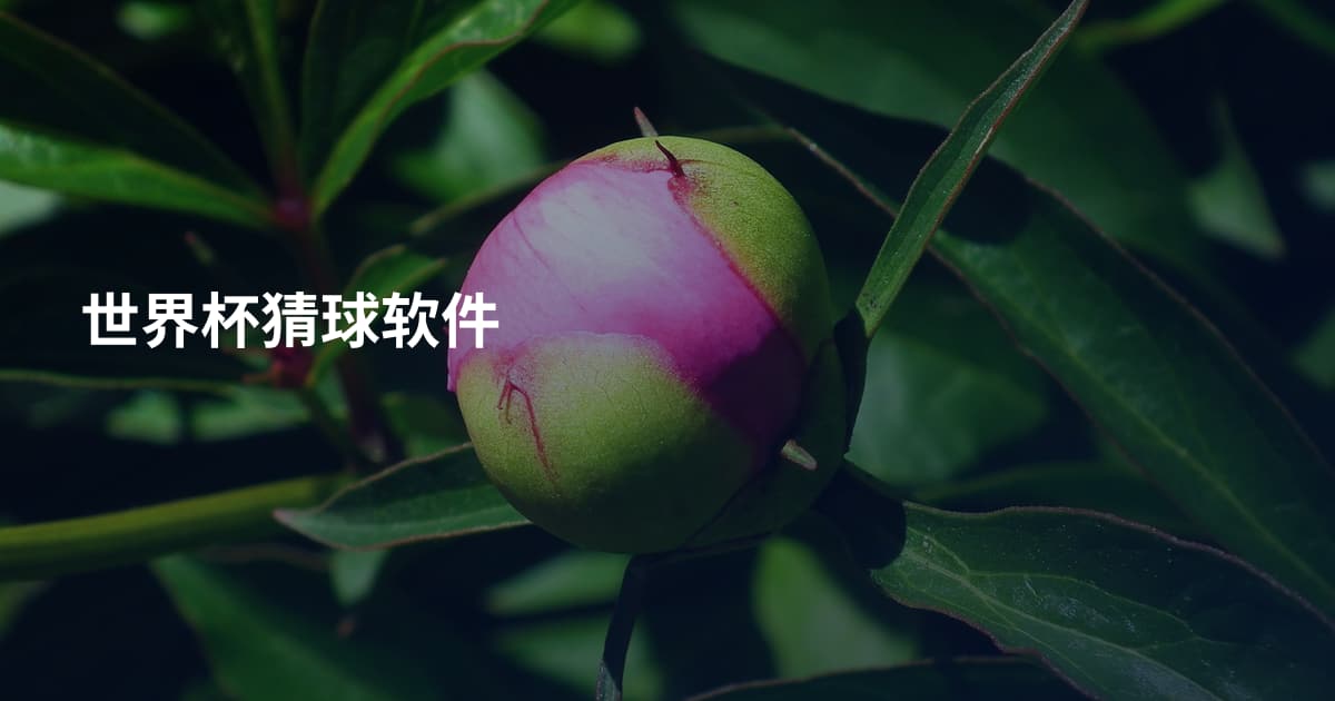 世界杯猜球软件