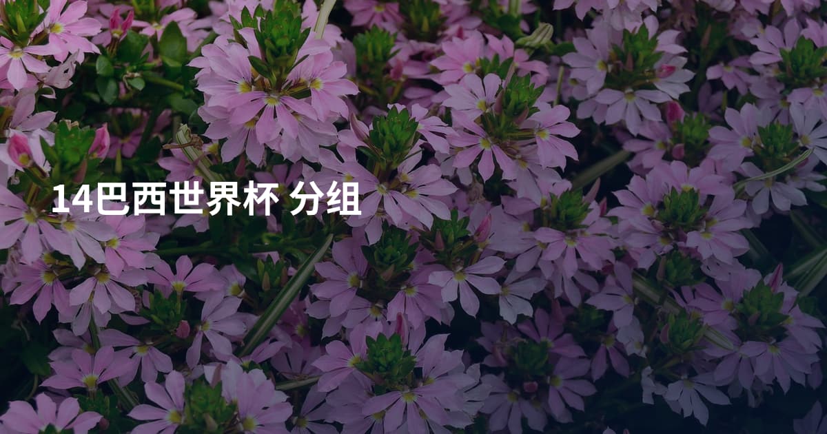 14巴西世界杯 分组