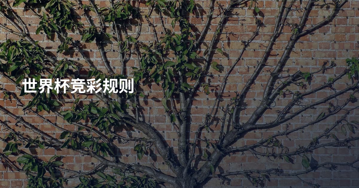 世界杯竞彩规则