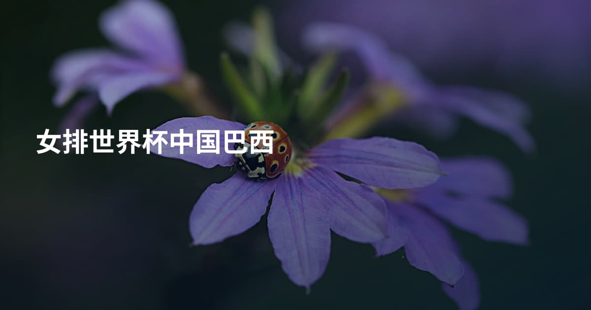 女排世界杯中国巴西
