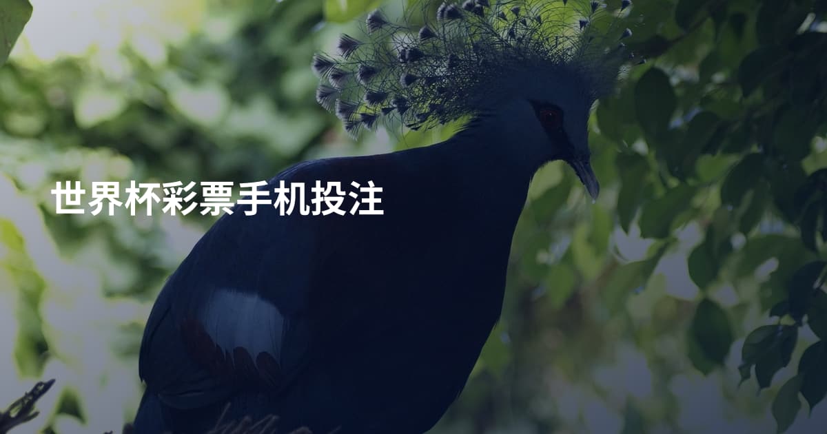 世界杯彩票手机投注