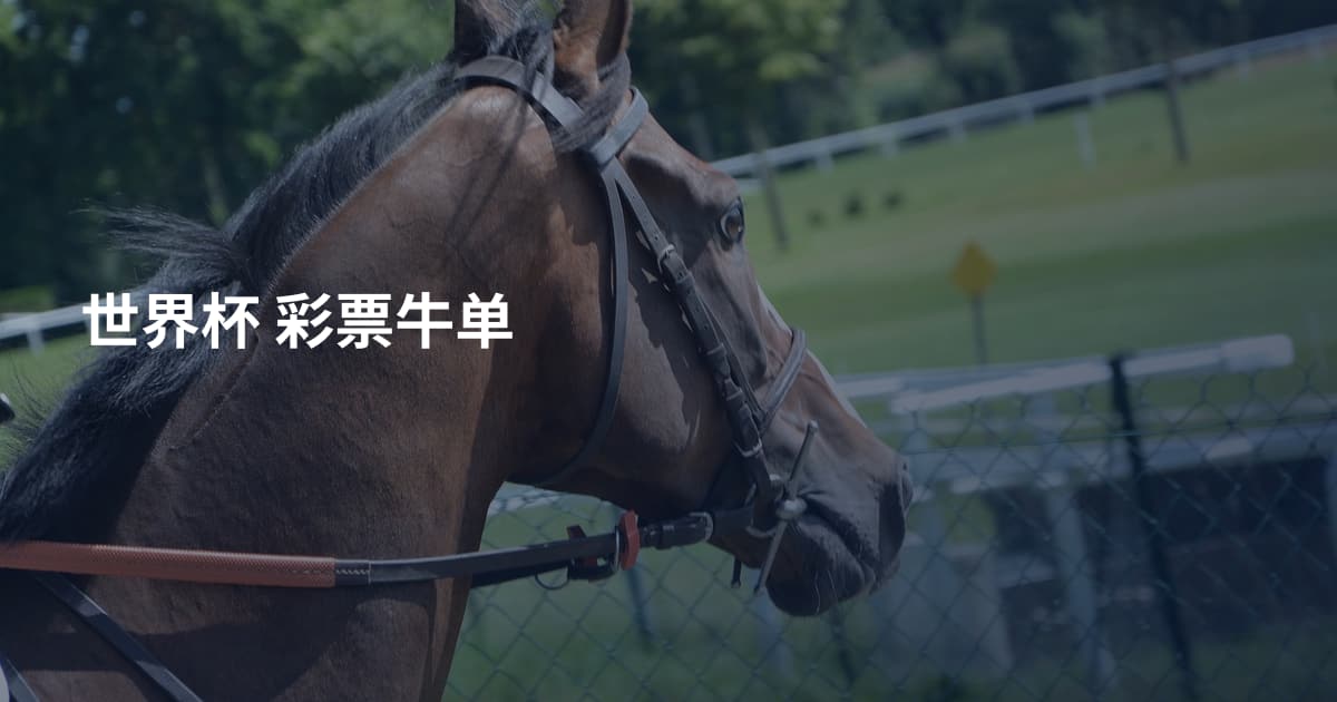 世界杯 彩票牛单