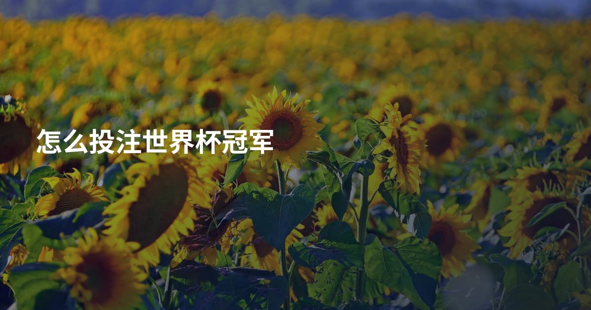 怎么投注世界杯冠军
