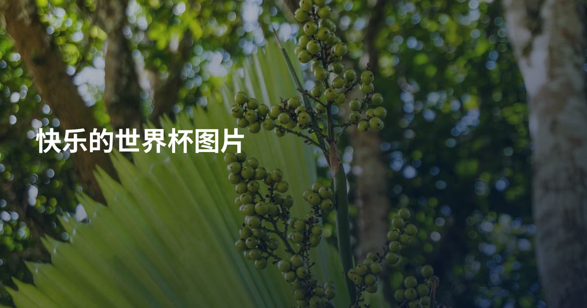 快乐的世界杯图片