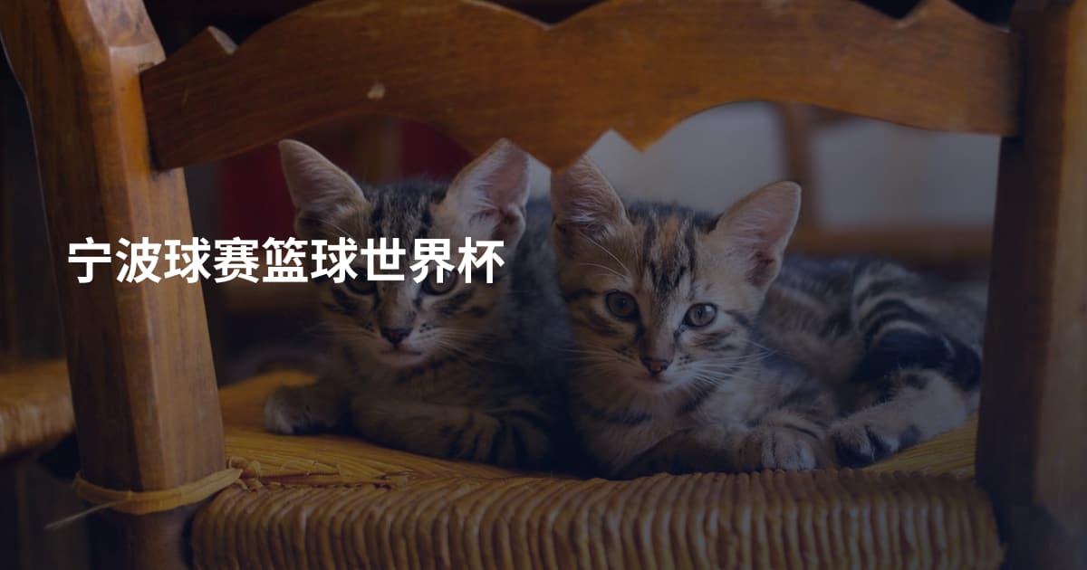 宁波球赛篮球世界杯