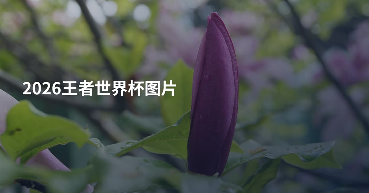 2026王者世界杯图片