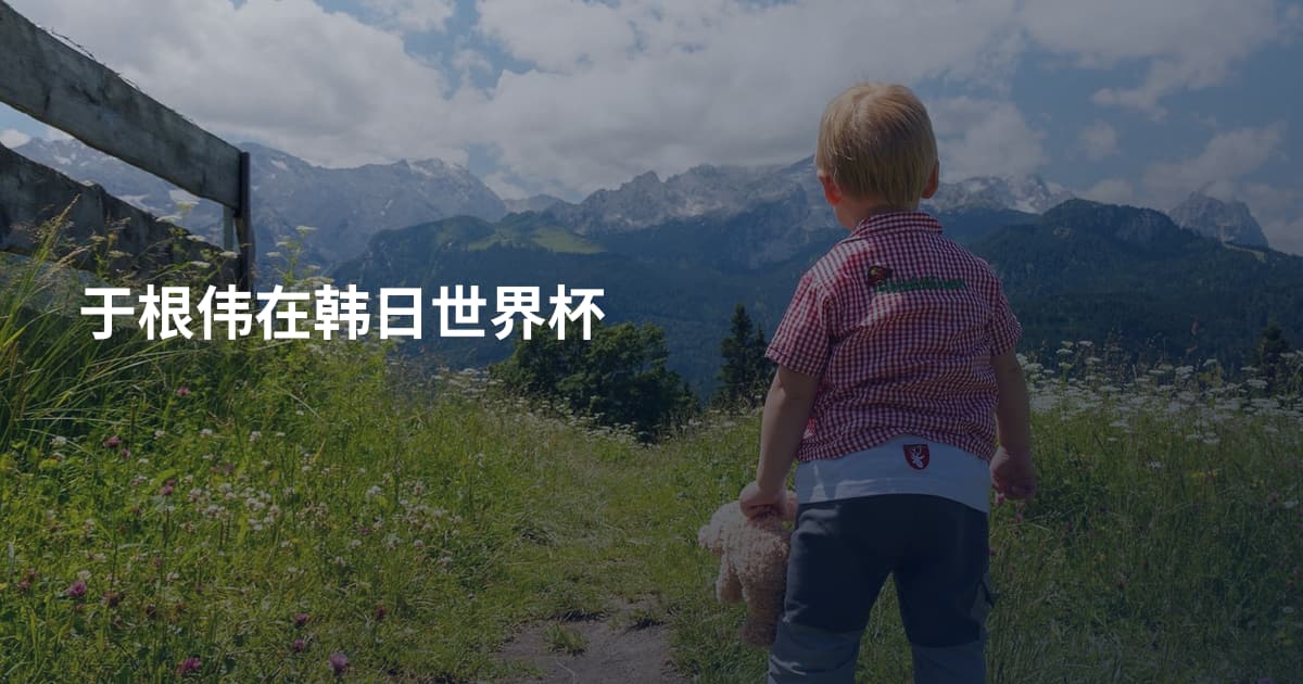 于根伟在韩日世界杯
