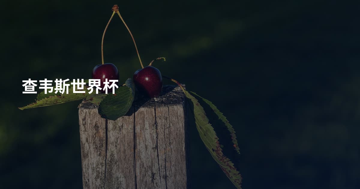 查韦斯世界杯