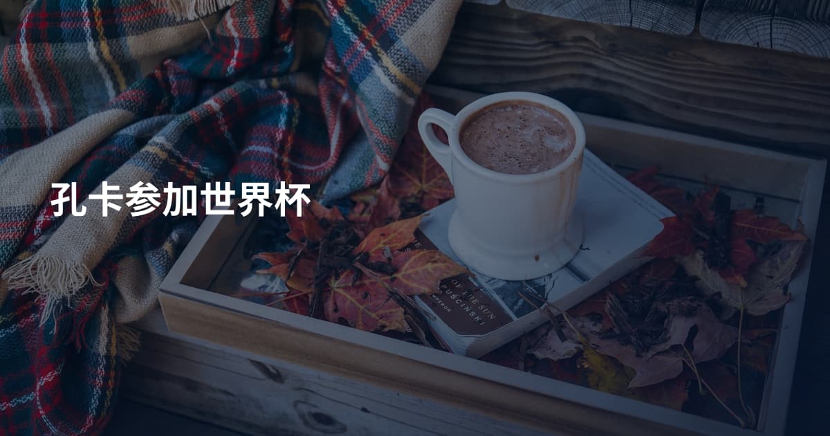 孔卡参加世界杯