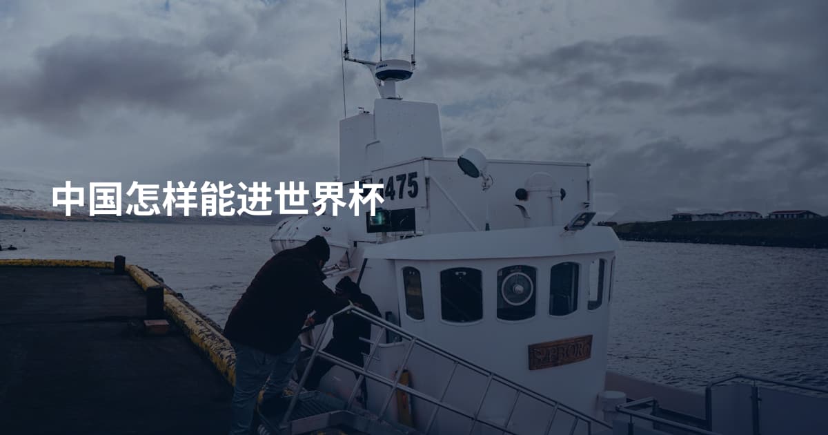中国怎样能进世界杯