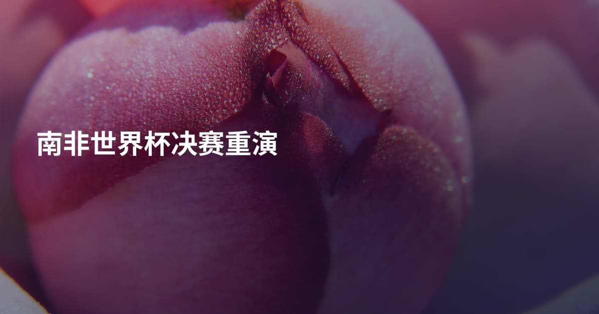南非世界杯决赛重演