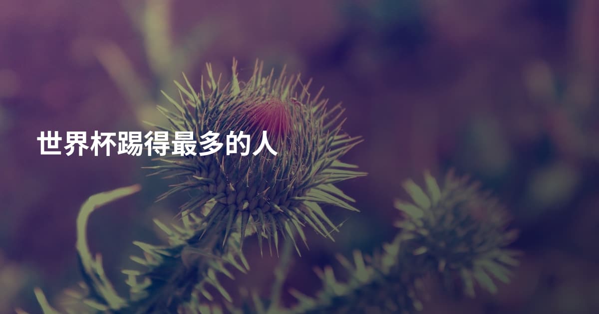 世界杯踢得最多的人