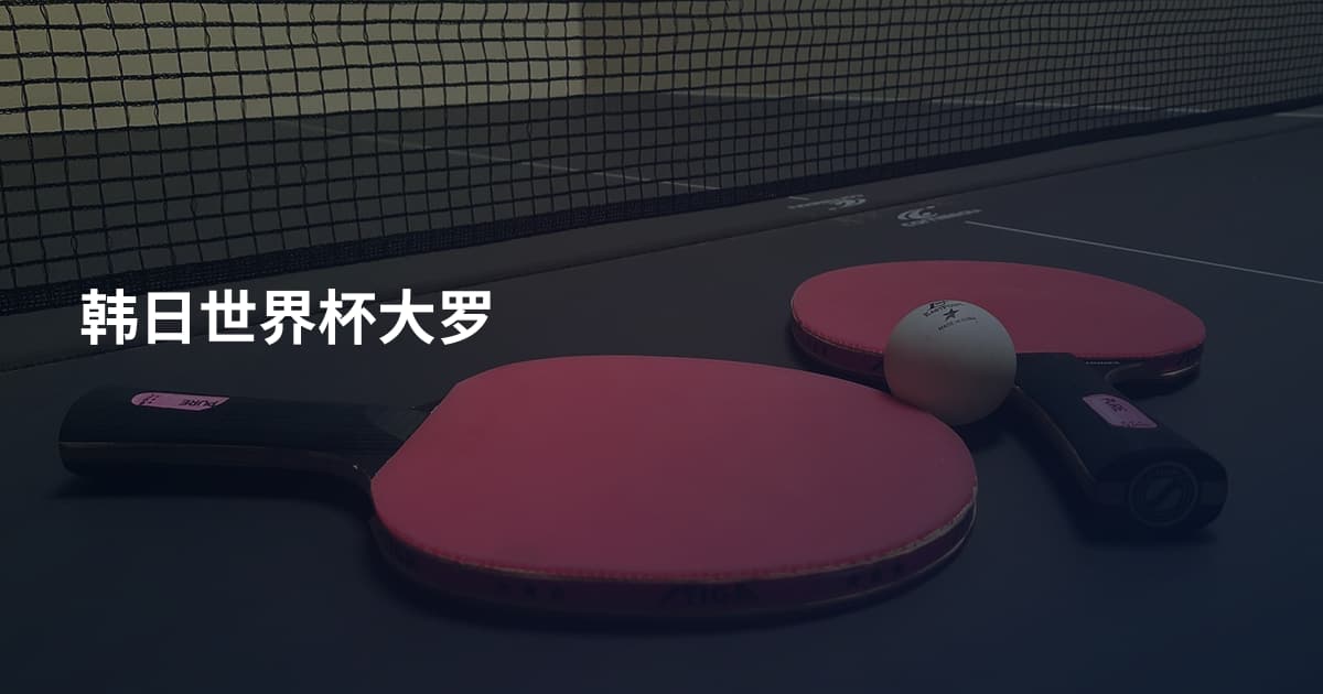 韩日世界杯大罗