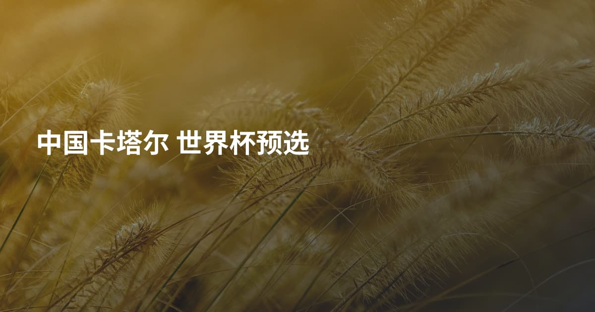 中国卡塔尔 世界杯预选