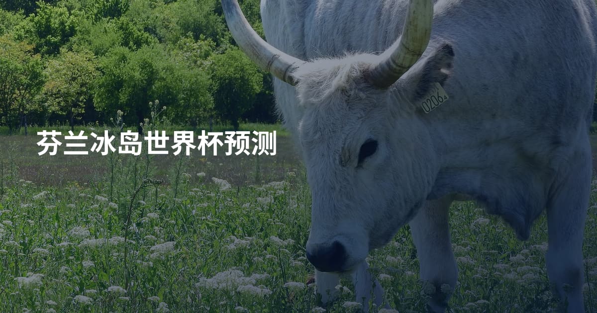 芬兰冰岛世界杯预测