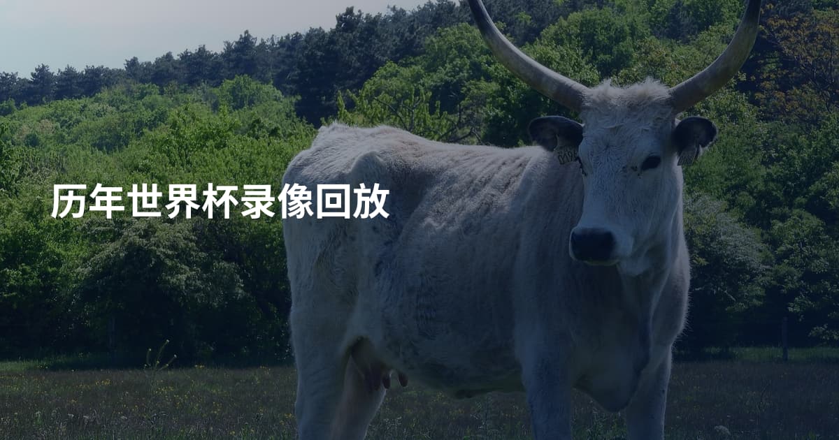 历年世界杯录像回放