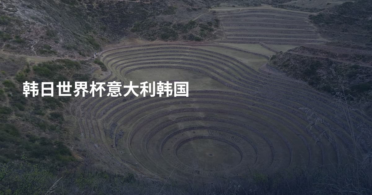 韩日世界杯意大利韩国