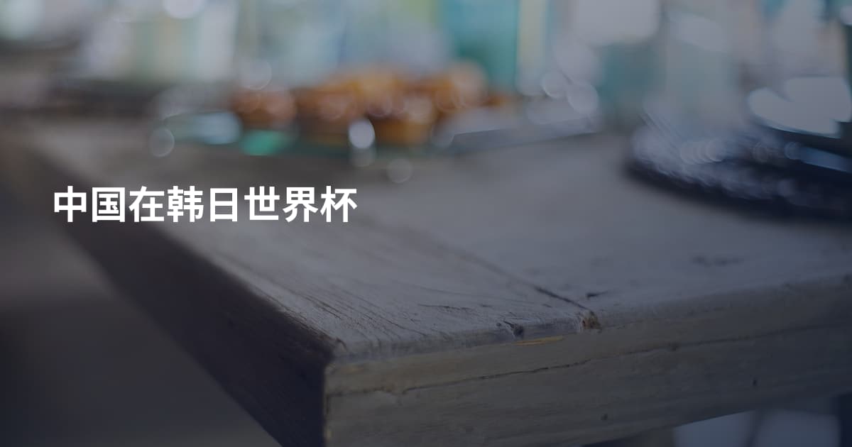 中国在韩日世界杯