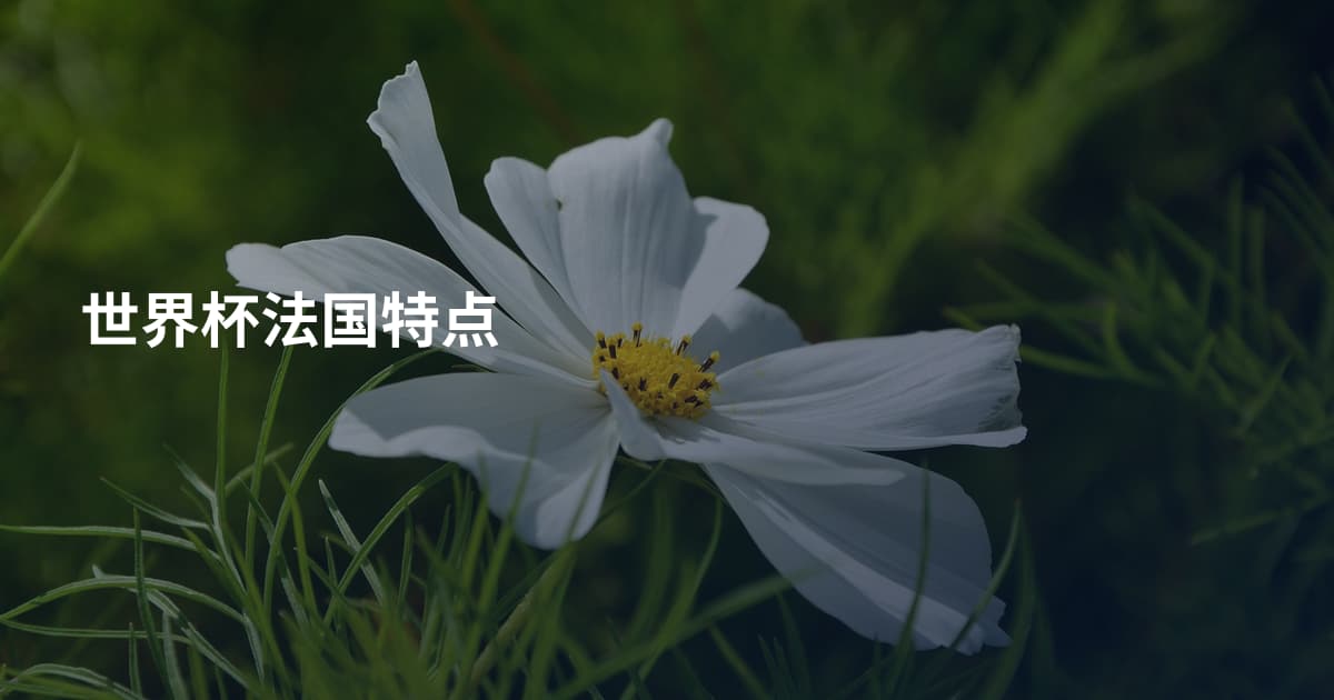 世界杯法国特点