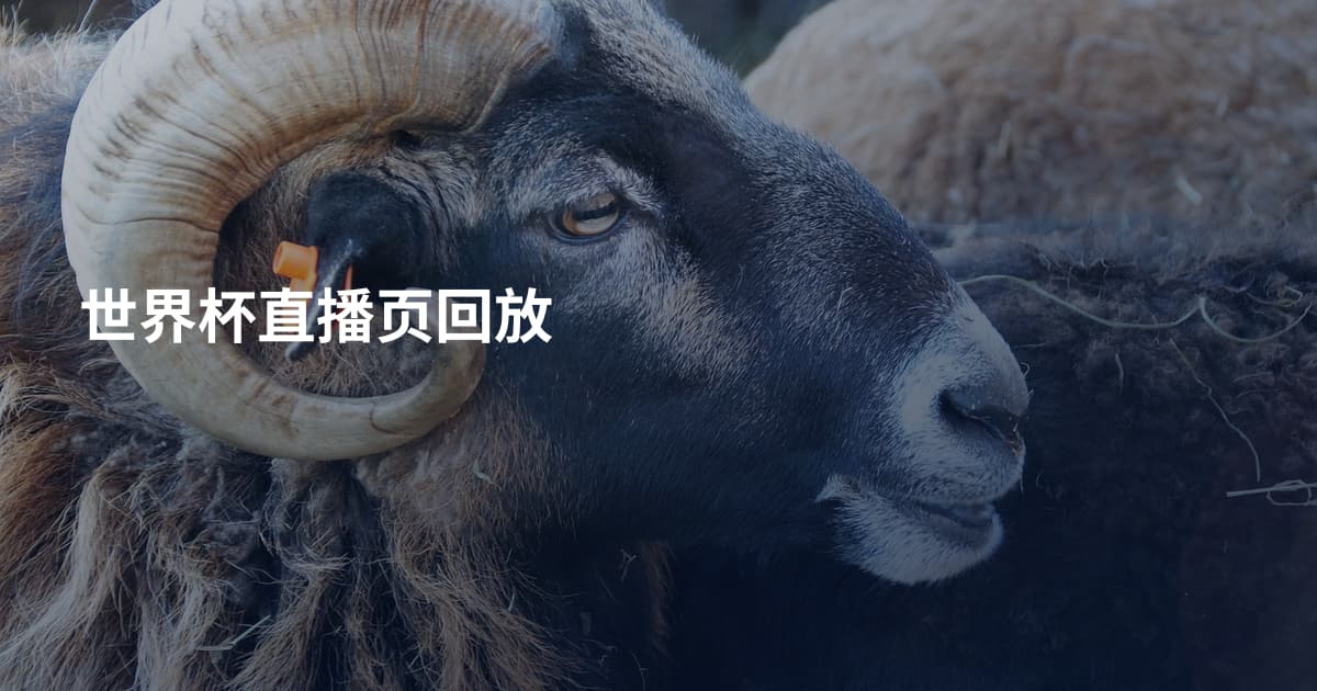 世界杯直播页回放