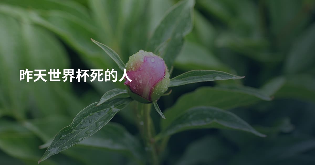 昨天世界杯死的人