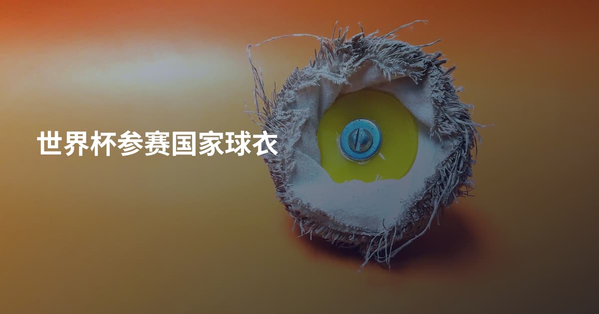 世界杯参赛国家球衣