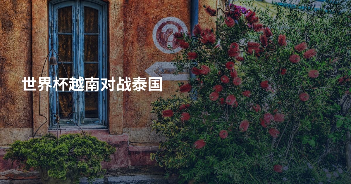 世界杯越南对战泰国