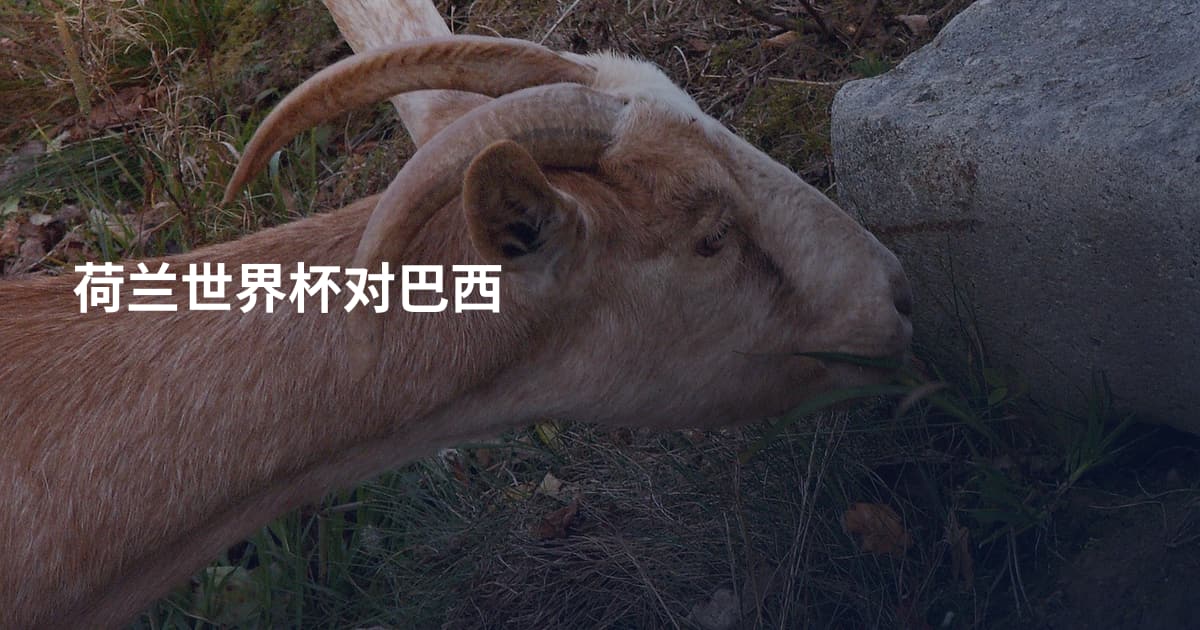 荷兰世界杯对巴西