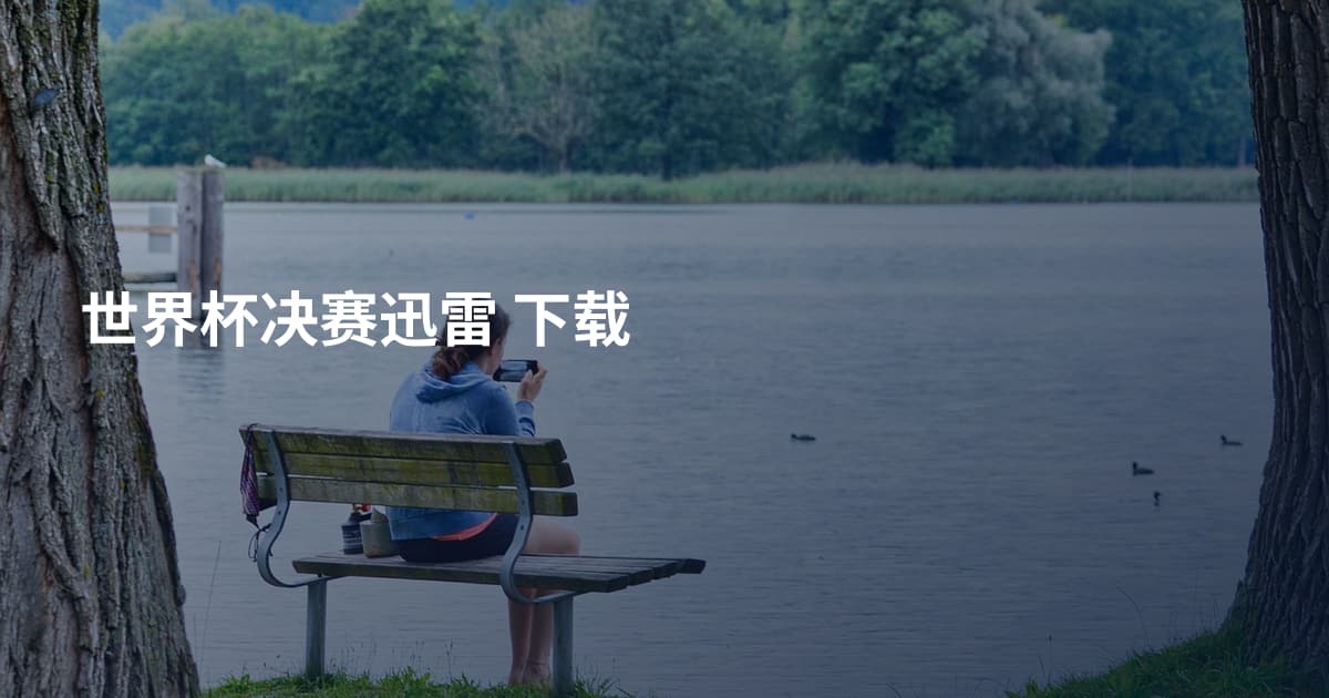 世界杯决赛迅雷 下载