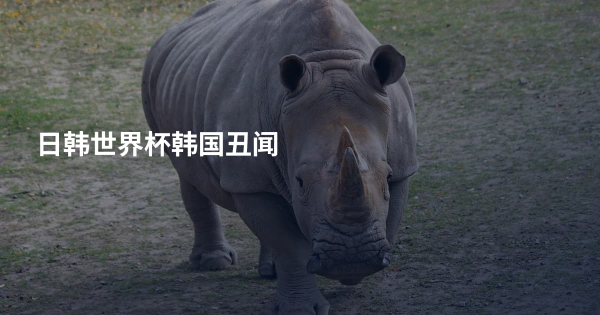日韩世界杯韩国丑闻