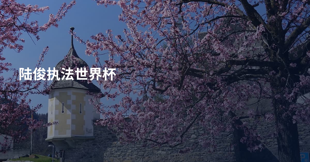 陆俊执法世界杯
