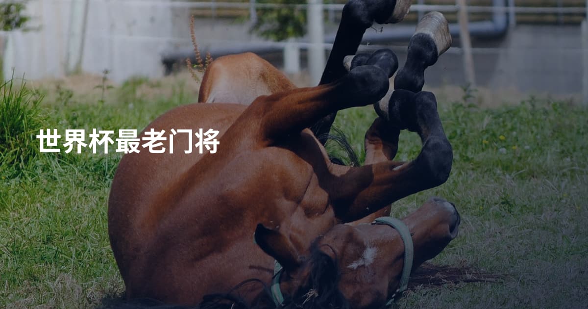 世界杯最老门将