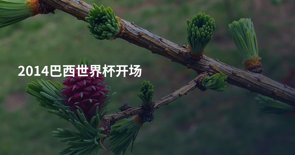 2014巴西世界杯开场