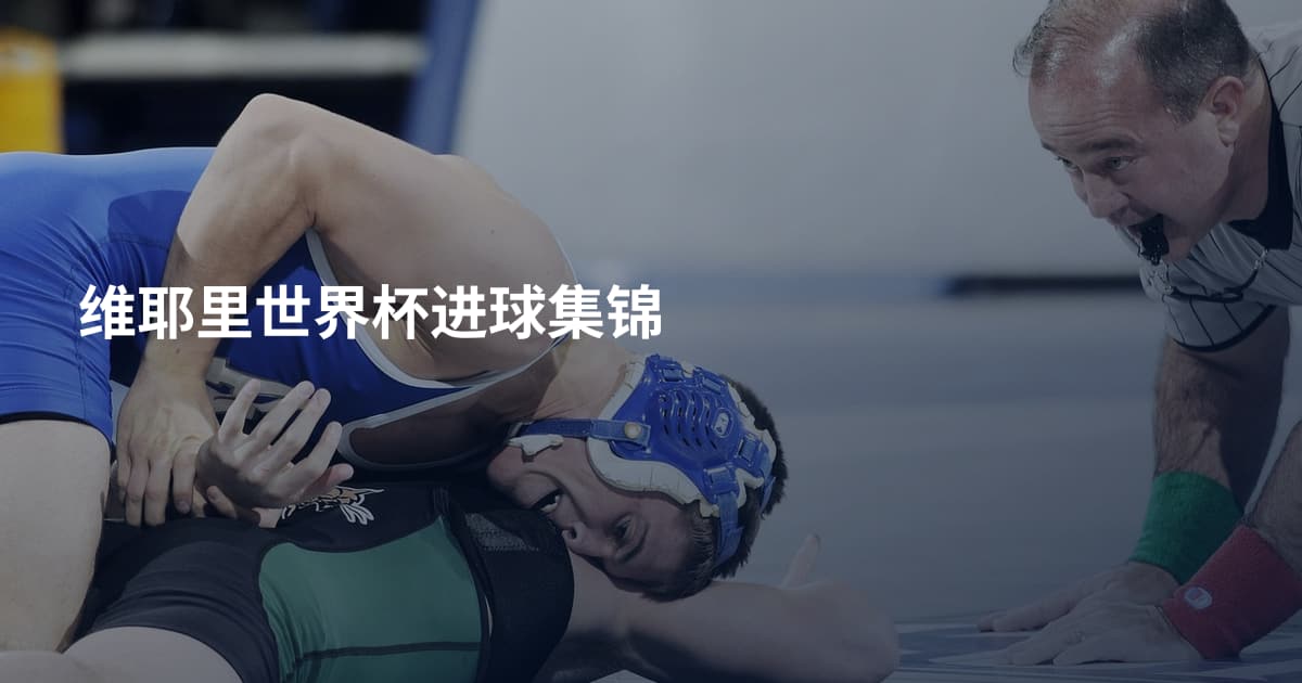 维耶里世界杯进球集锦