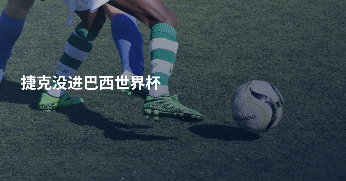捷克没进巴西世界杯