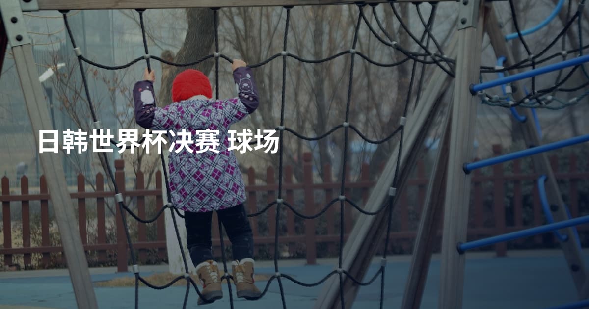 日韩世界杯决赛 球场
