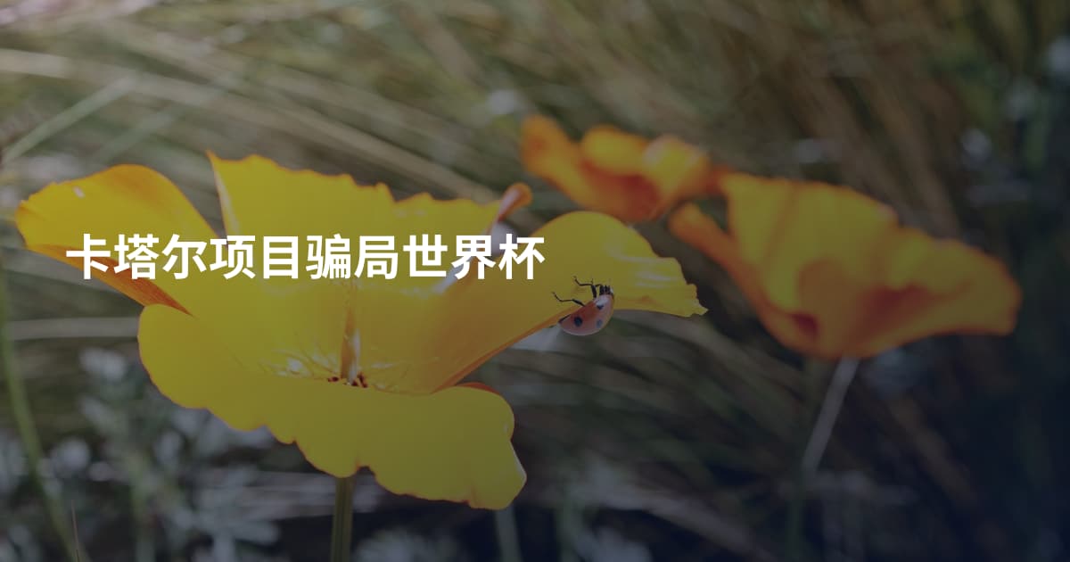 卡塔尔项目骗局世界杯