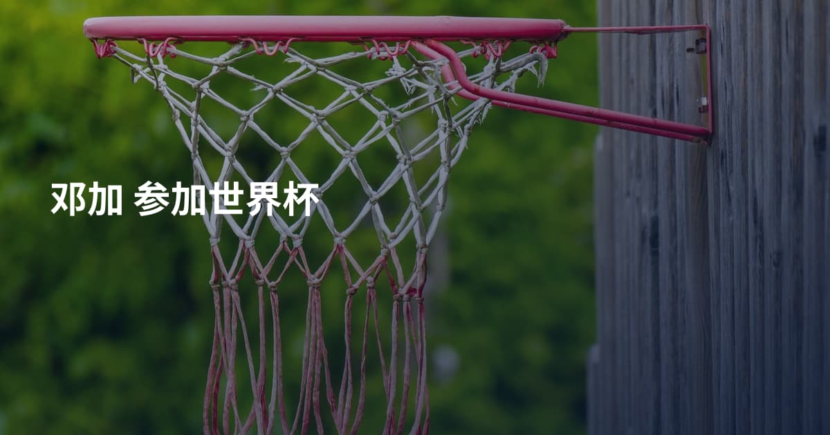 邓加 参加世界杯