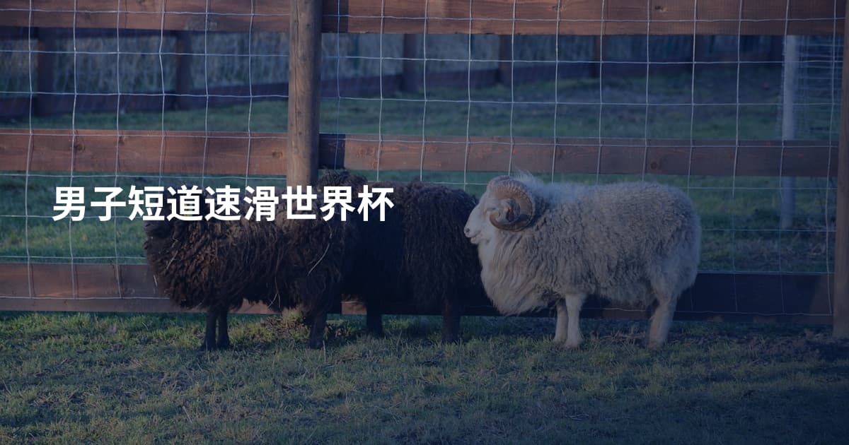 男子短道速滑世界杯